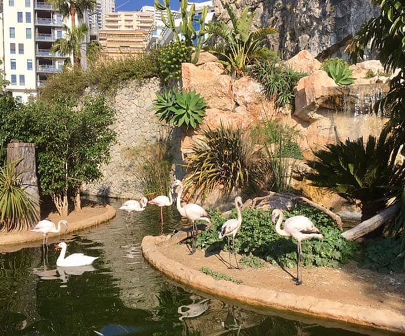 Zoological Garden of Monaco