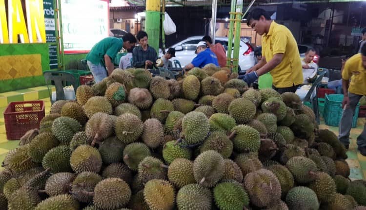 Durian Ucok Medan 