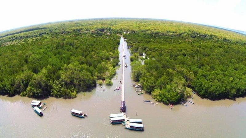 Hutan Mangrove Bedul