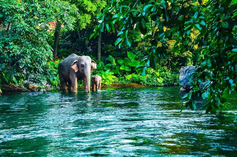 Taman Nasional Khao Yai