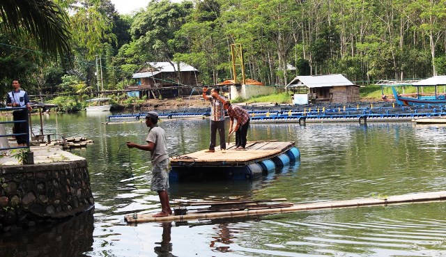 Danau Suro