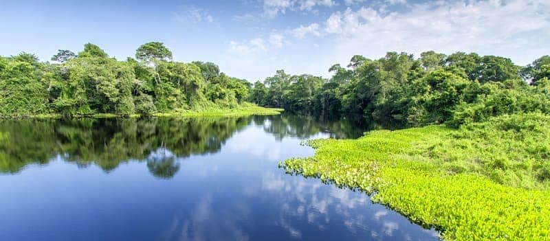 Pantanal Matogrossense National Park