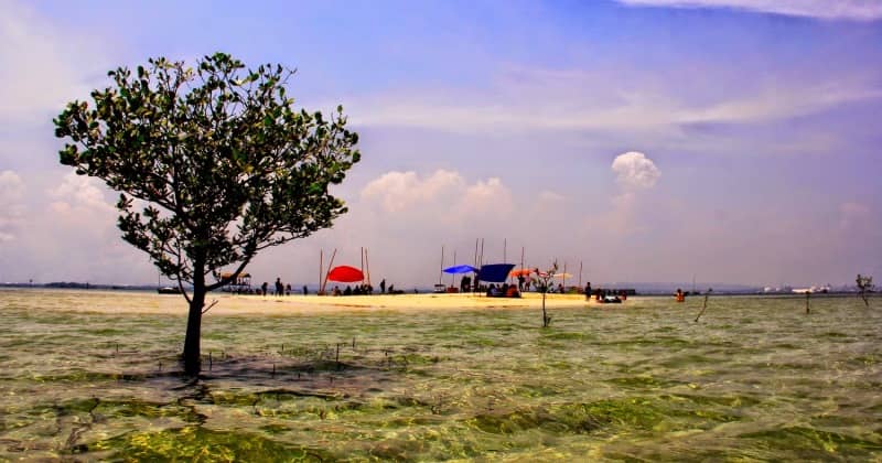 Pulau Segajah