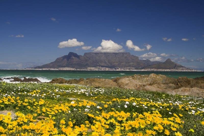 Table Mountain National Park