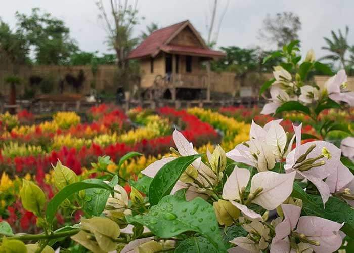 Taman Bunga Nusa Indah