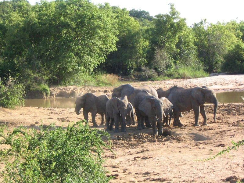 Yankari Game Reserve Bauchi