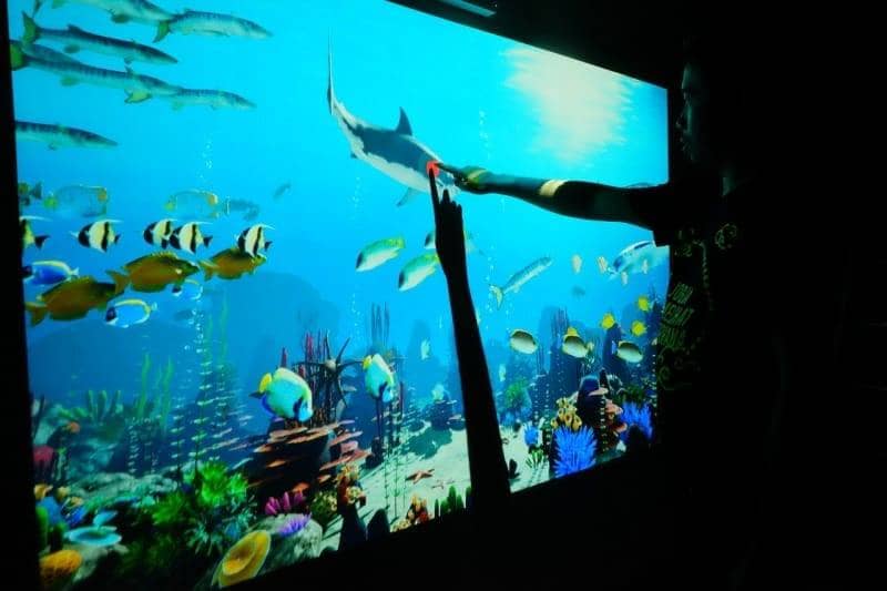 Aquarium Taman Pintar