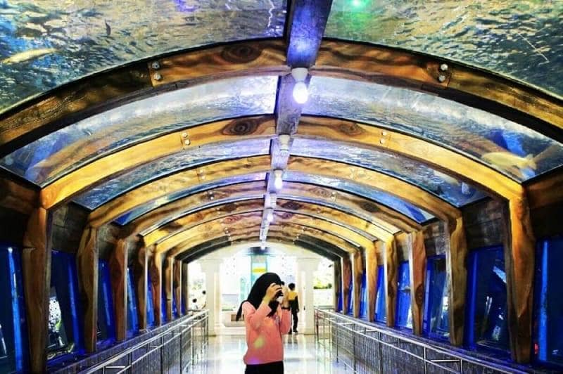 wisata Aquarium di Indonesia