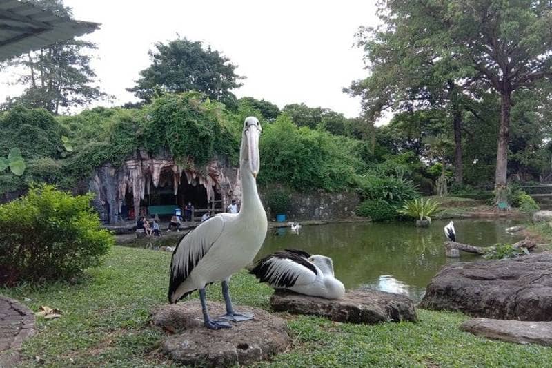Taman Burung TMII