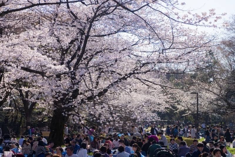  Taman Yoyogi