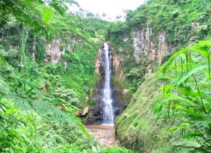 air terjun di Jember