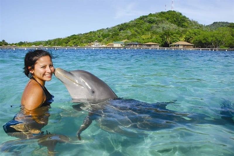 Dolphin Encounter