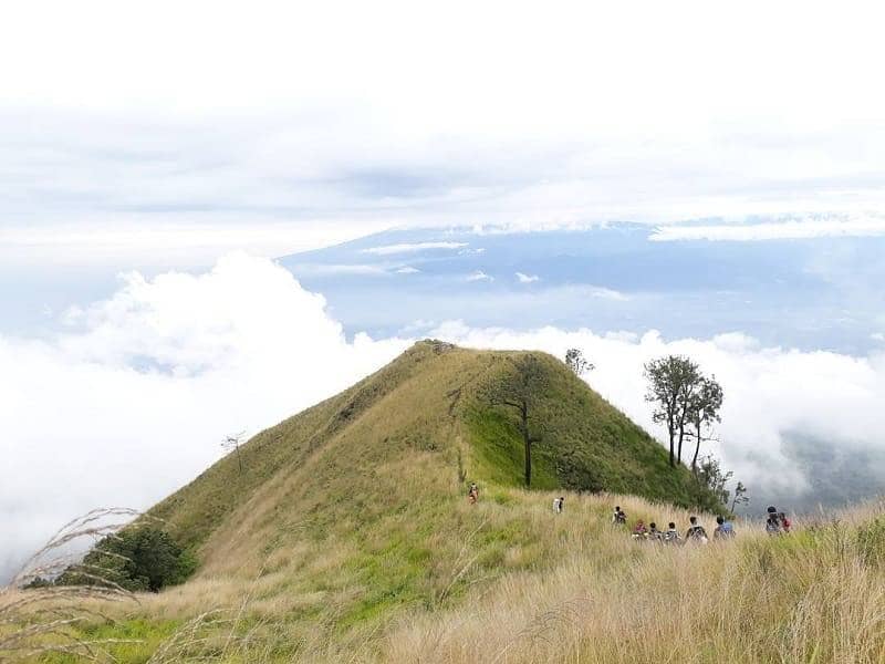 Sabana Di Atas Gunung 