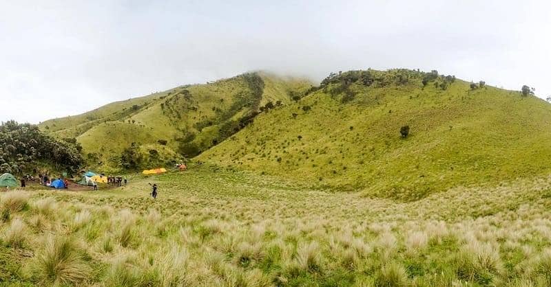 Gunung Merbabu