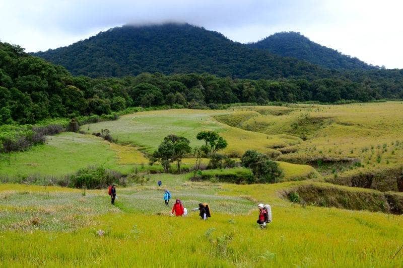 Gunung Papandayan