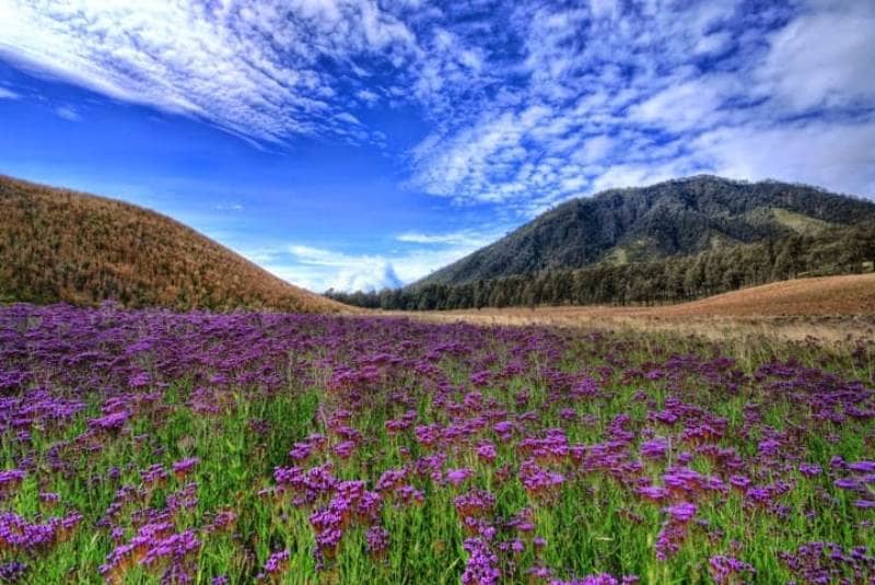 Gunung Semeru