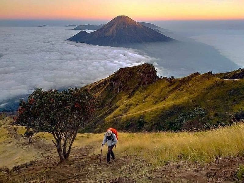 Gunung Sindoro