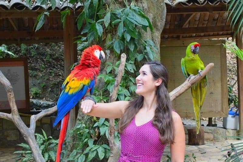 Macaw Mountain Bird Park