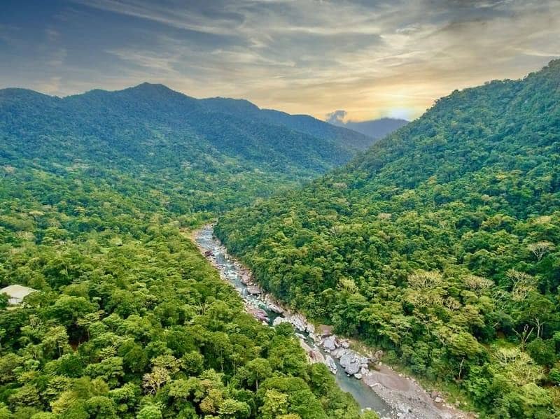 Taman Nasional Pico Bonito