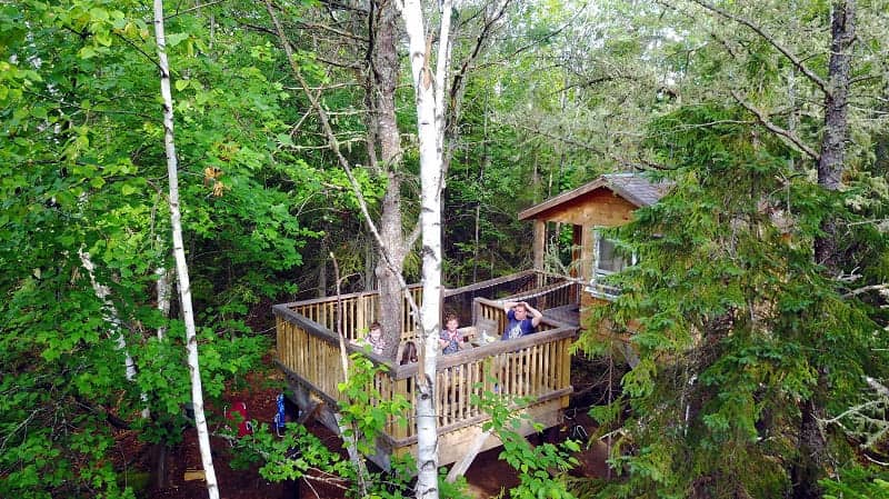Miramichi Treehouse & Camping