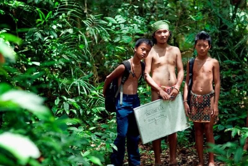 taman nasional bukit dua belas