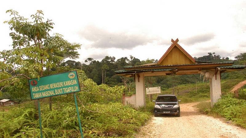 taman nasional bukit tiga puluh