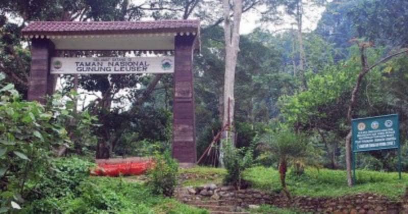 taman nasional gunung leuser