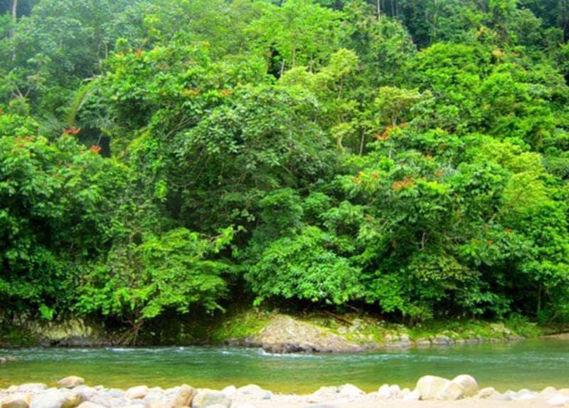 Taman Nasional Di Sumatera