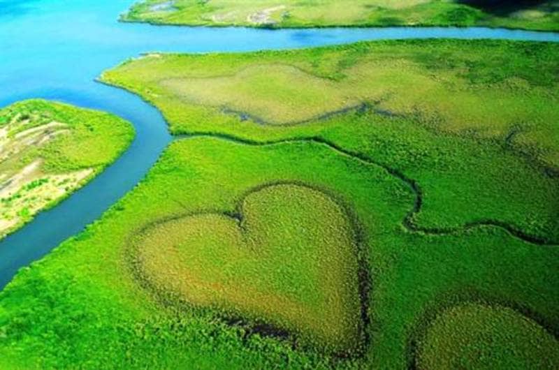 Coeur de Voh di New Caledonia