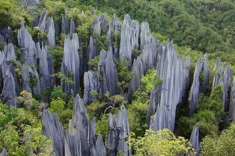 Taman Nasional Gunung Mulu