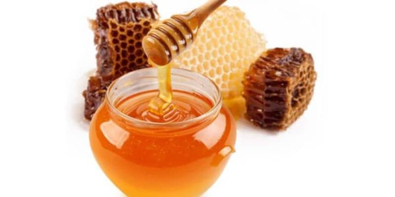 produk lebah