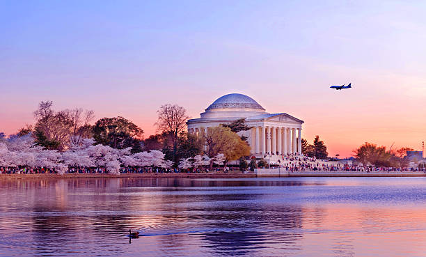  Bunga Sakura Mekar Pada Saat Musim Semi di Washington DC