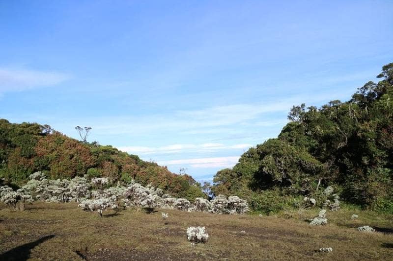 lembah mandalawangi