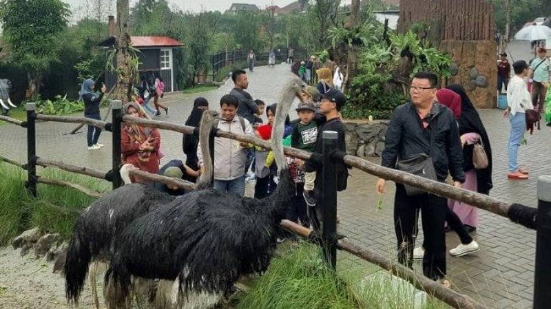 lembang park & zoo