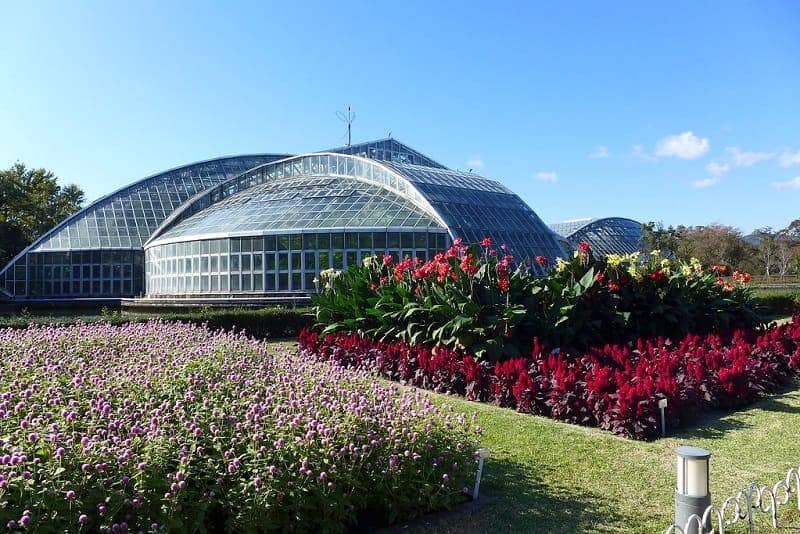 Kyoto Botanical Garden