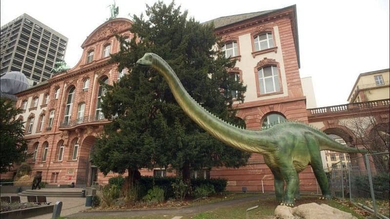 Senckenberg Natural History Museum