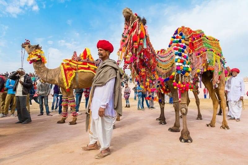 Festival Pushkar Camel Fair