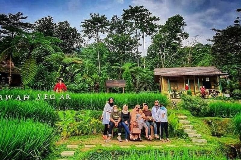 sawah segar resto and nursery