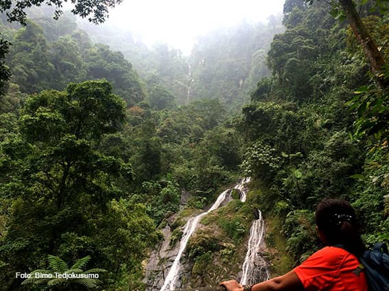 curug cibadak loji