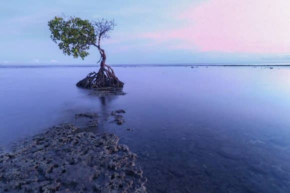 pantai pemuteran