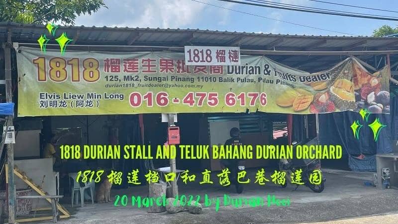 1818 Durian Penang