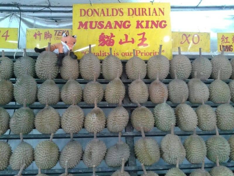 Donald's Durian
