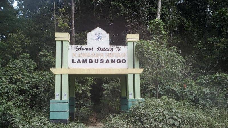 Hutan Lambusango