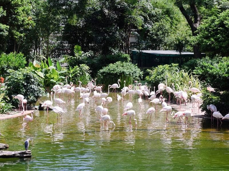 Kowloon Park