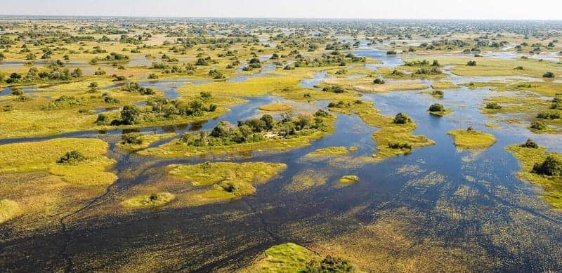 Okavango Swamps