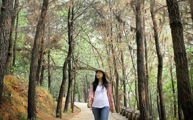 hutan kota bsd tangerang