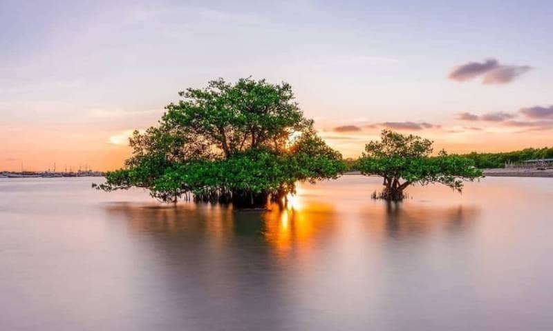 pantai ngemboh