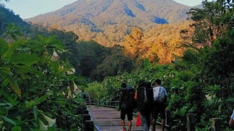 Taman Nasional Gunung Gede Pangrango