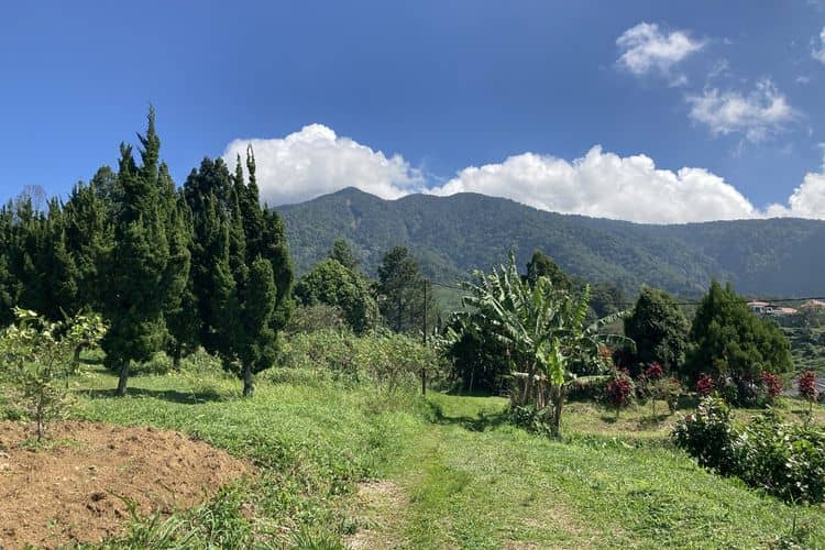 Taman Nasional Halimun-Salak