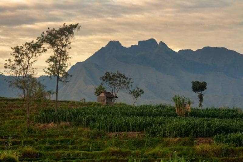 Pendakian di Malang